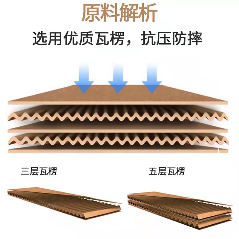 紙箱